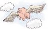 flying-pig small.jpg