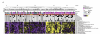 Screen Shot 2023-06-11 at 2.49.46 pm.png