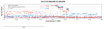 chr17:52000000-52400000.png